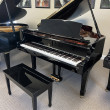 2005 JP Pramberger Platinum Edition grand piano - Grand Pianos